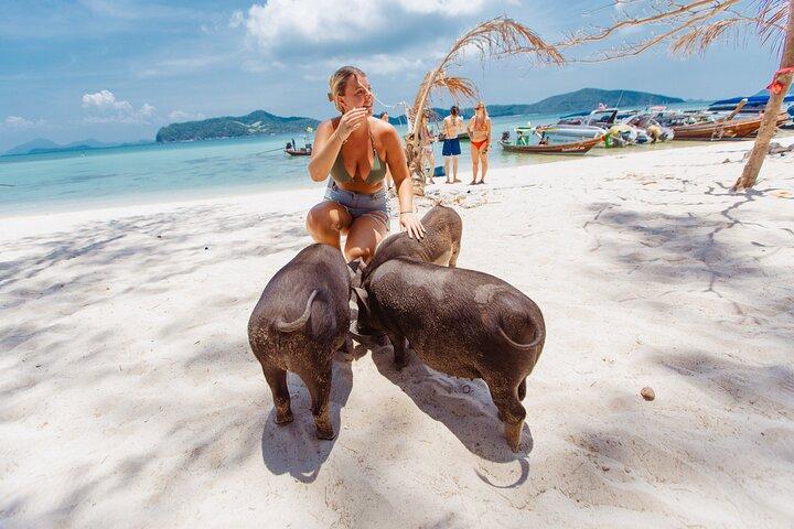 サムイ島からスピードボートでピッグアイランドでの豚の餌やり、カヤック、シュノーケリング旅行