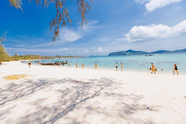 サムイ島からスピードボートでピッグアイランドでの豚の餌やり、カヤック、シュノーケリング旅行