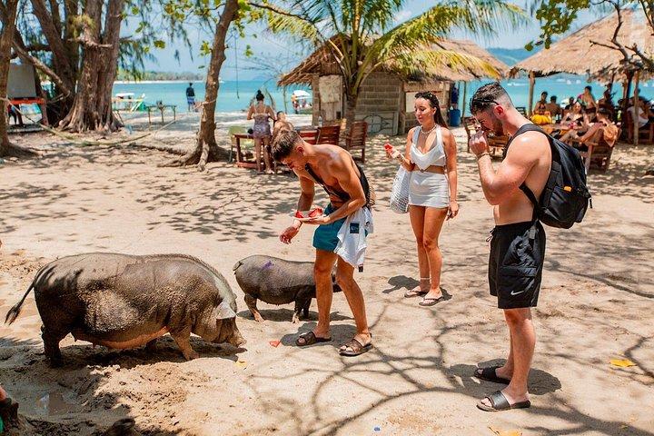 サムイ島からスピードボートでピッグアイランドでの豚の餌やり、カヤック、シュノーケリング旅行
