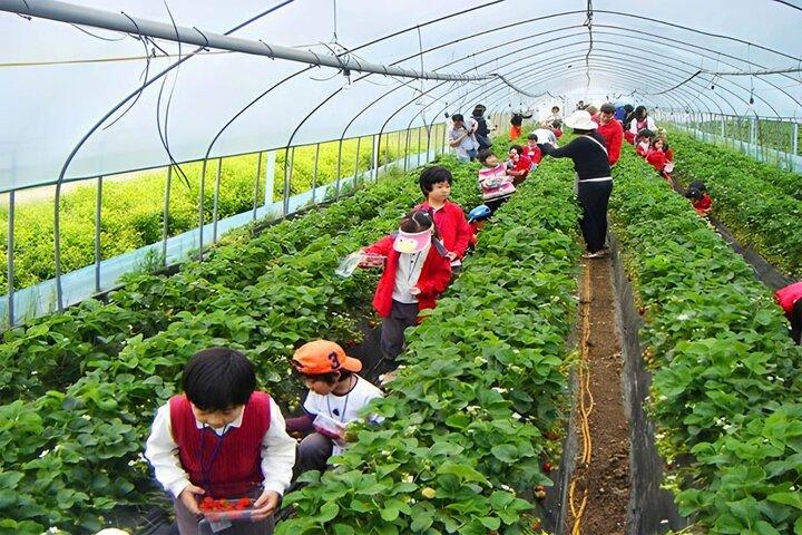 Tour culturale e storico di Langbiang e Datanla Da Lat
