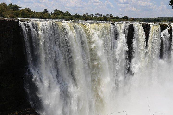 Chutes Victoria : visite guidée privée des chutes