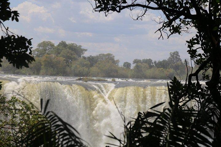 Chutes Victoria : visite guidée privée des chutes