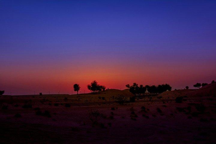 砂漠サファリでのキャンプ泊 , 星空観察 , 砂乗り