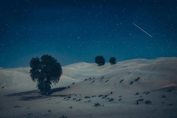 砂漠サファリでのキャンプ泊 , 星空観察 , 砂乗り