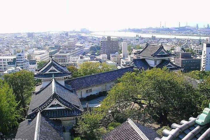 和歌山城、黒潮市場、奈良鹿公園＆東大寺巡り