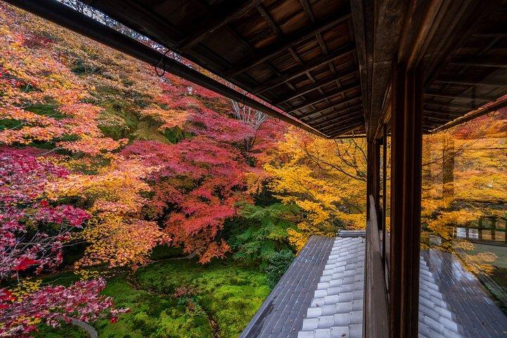 琵琶湖白鬚神社と浮御堂日帰りツアー（大阪・京都発）