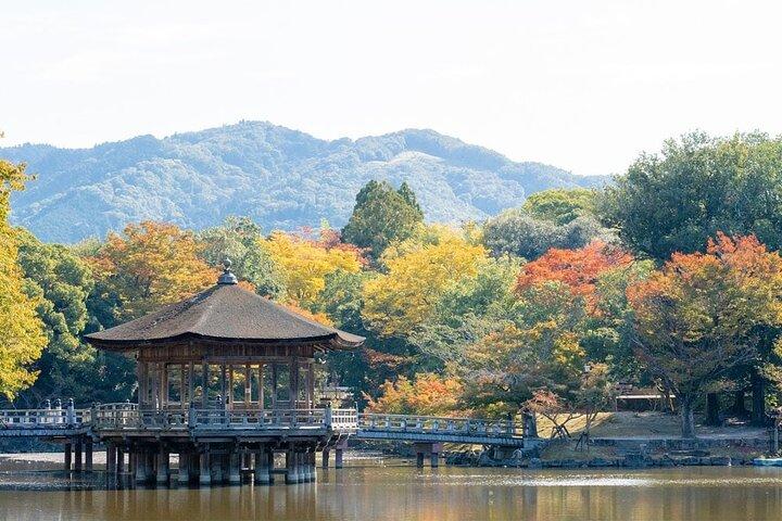 琵琶湖白鬚神社と浮御堂日帰りツアー（大阪・京都発）