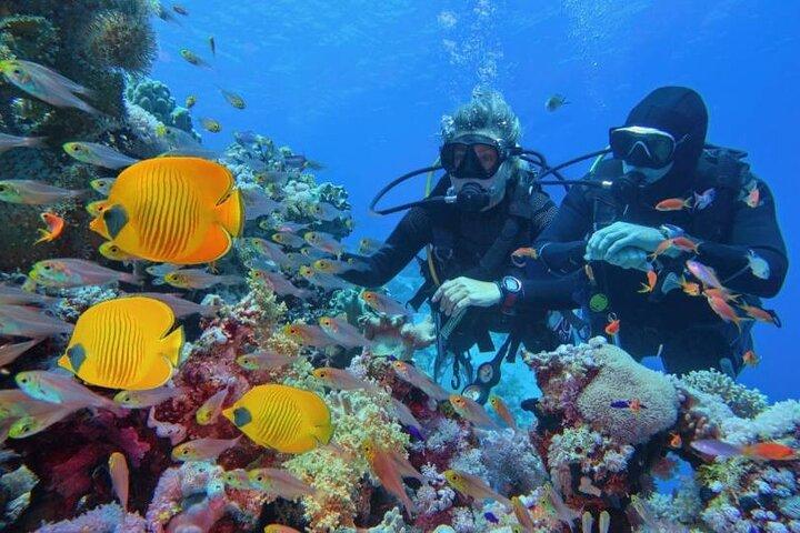 Scuba Diving Refresher(3 dives)