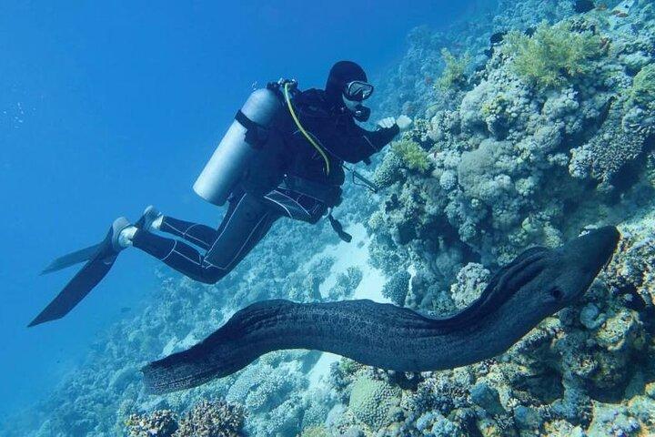 Scuba Diving Refresher(3 dives)
