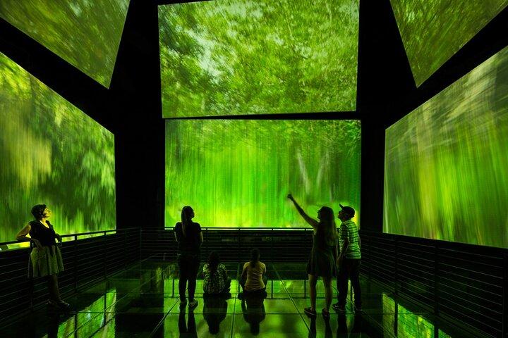 Miraflores kanal låse, Amador Causeway og Biomuseo privat tur
