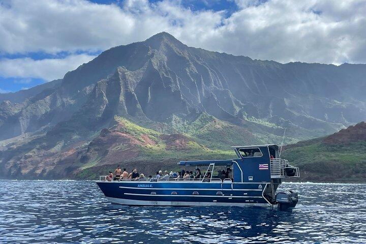 Kauai : Excursion en bateau NaPali sur l'Amelia K