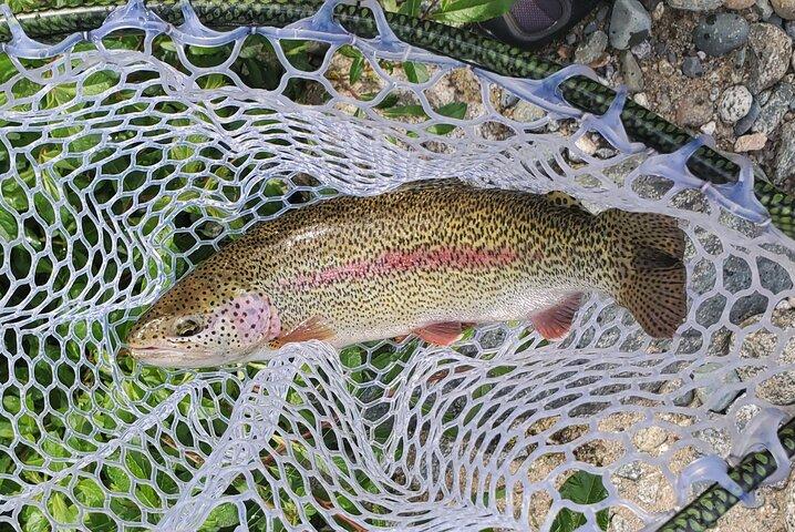 Anchorage Guidato Pesca a mosca con trasporto