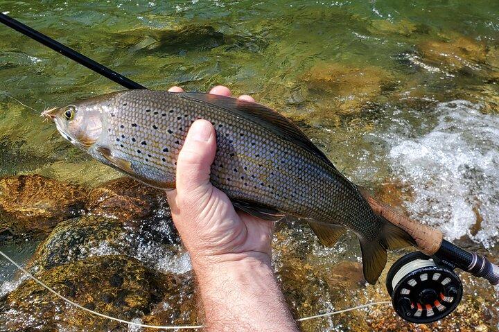 Anchorage Guidato Pesca a mosca con trasporto