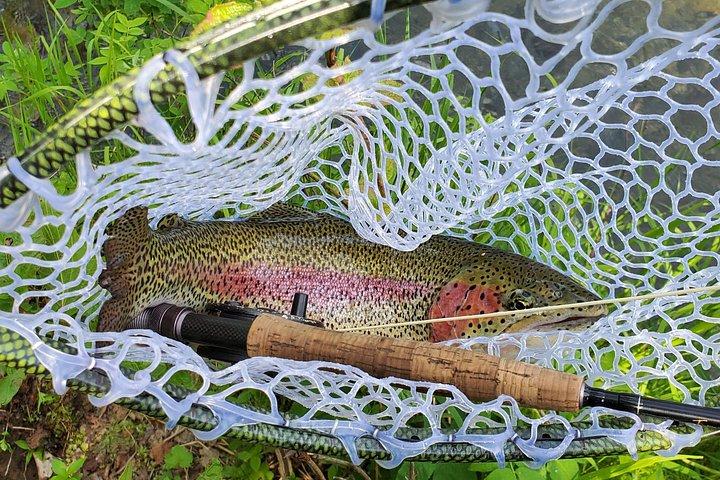 Anchorage Guided Fly-fishing with transportation