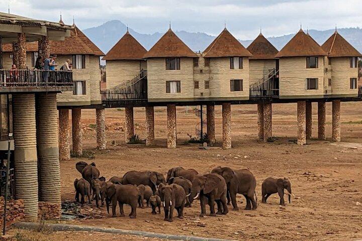 2 dagars privat Taita Hills Game Sunctuary Tour