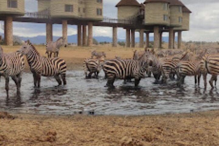 2 dagars privat Taita Hills Game Sunctuary Tour