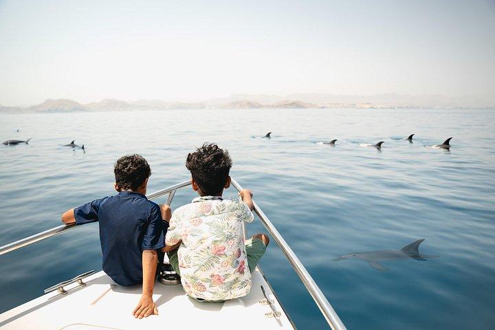 Oman Dolphin Watching Tours
