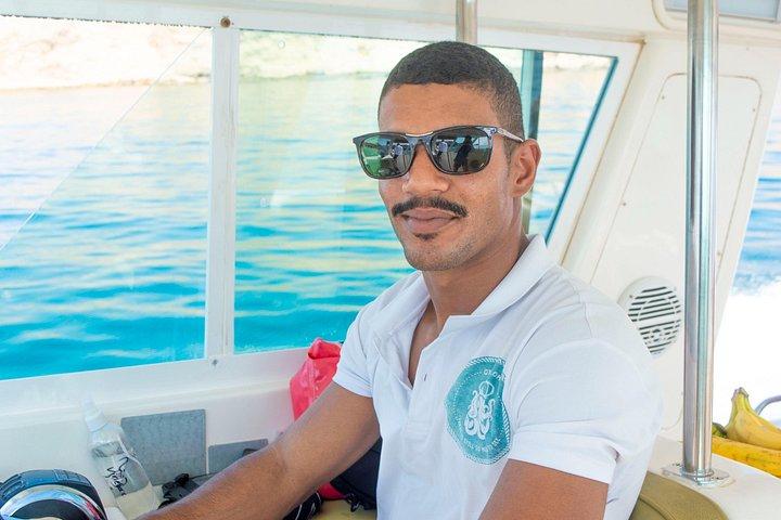 Oman Dolphin Watching Tours