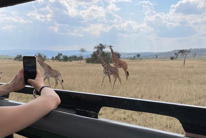 Endags Akagera Wildlife Safari