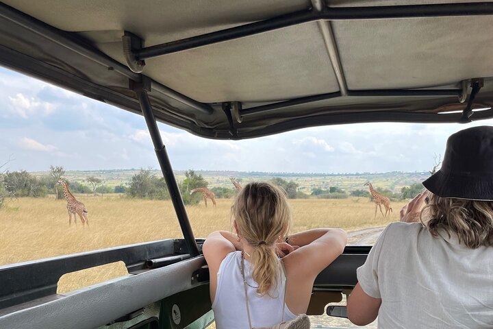 Endags Akagera Wildlife Safari