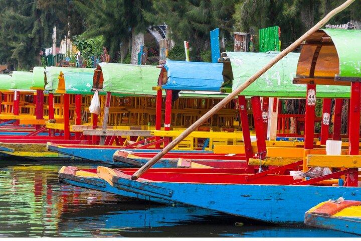 Da cdmx: Tour all inclusive di Coyoacán e Xochimilco