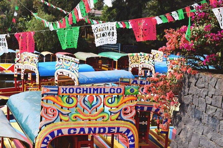 Da cdmx: Tour all inclusive di Coyoacán e Xochimilco