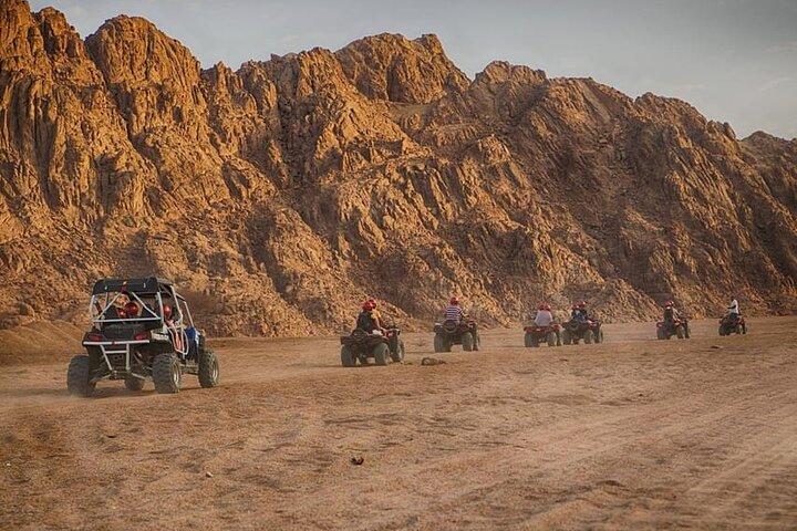 Safari privado y paseo en camello por el desierto del Sinaí en Sharm