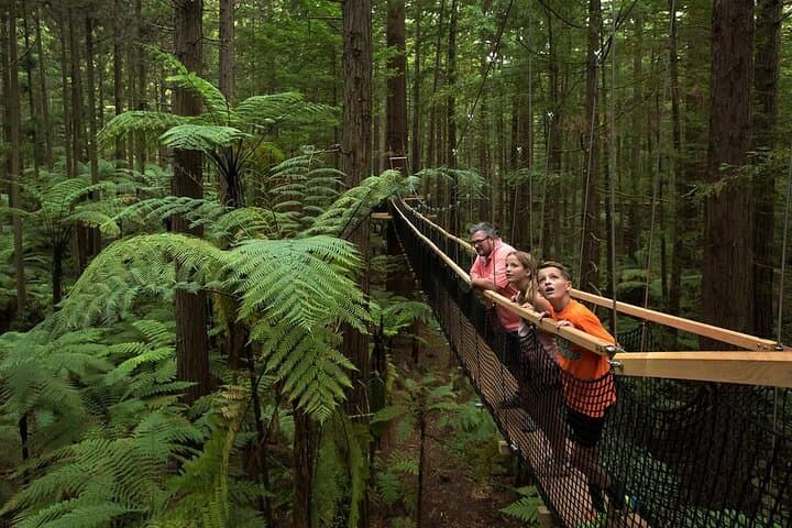 From Auckland to Rotorua Waiotapu and Activity Combinations