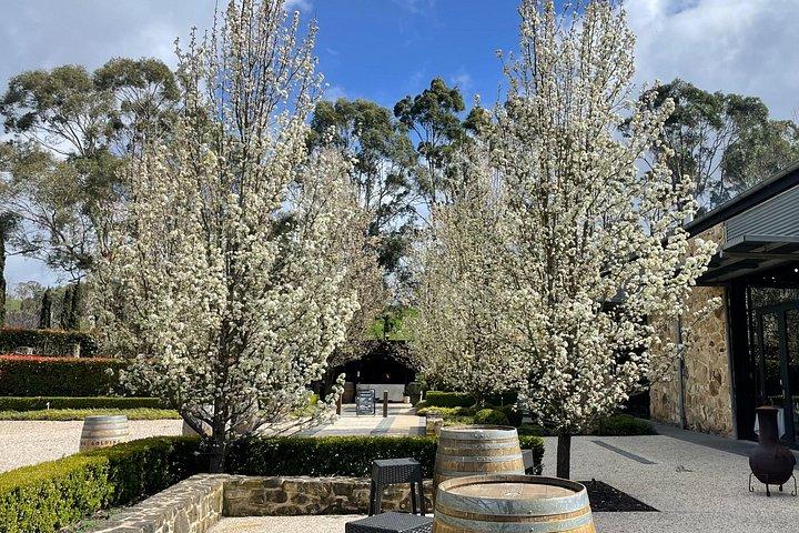 Adelaide Hills Divine Wine Tour
