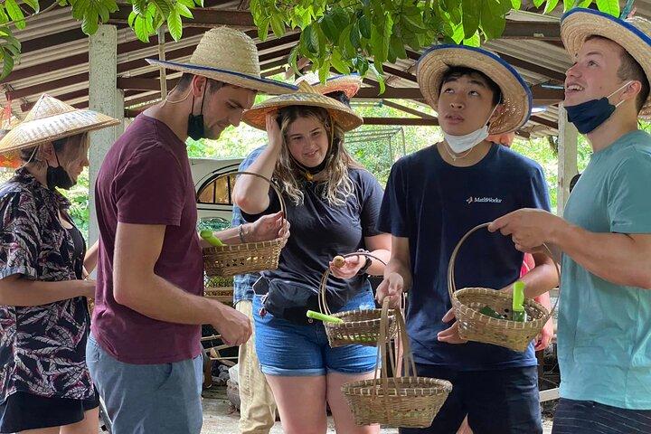 チェンマイ：少人数制タイ料理教室、ブアトーンの滝