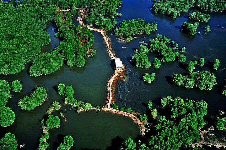 カンザーマングローブ生物圏保護区での一日ツアー