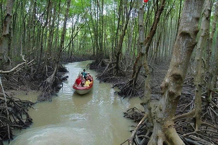 カンザーマングローブ生物圏保護区での一日ツアー