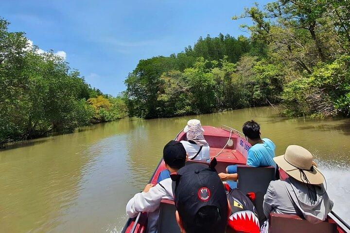 Heldagstur i Can Gio Mangrove Biosphere Reserve