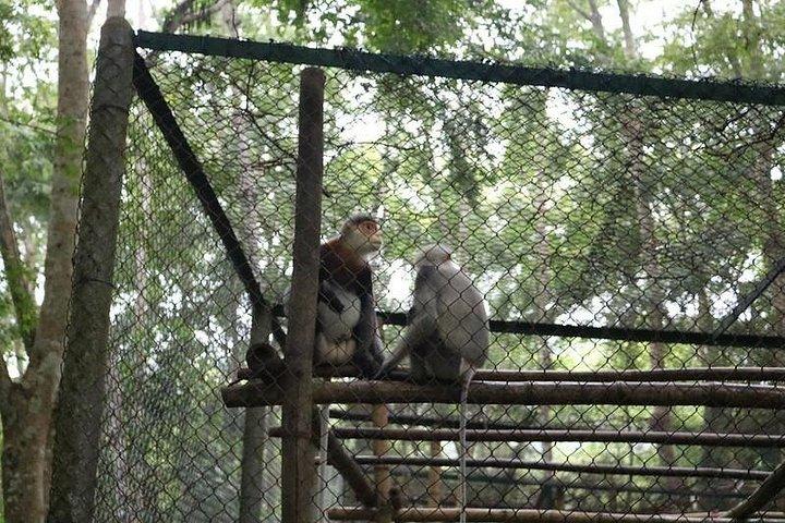 ニンビンとクックフォン国立公園のプライベート2日間ツアー