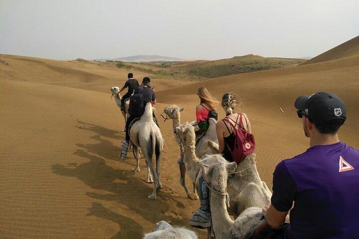Excursión de 1 día al desierto de Kubuqi (bahía de las dunas silbantes) en Hohhot, Mongolia Interior