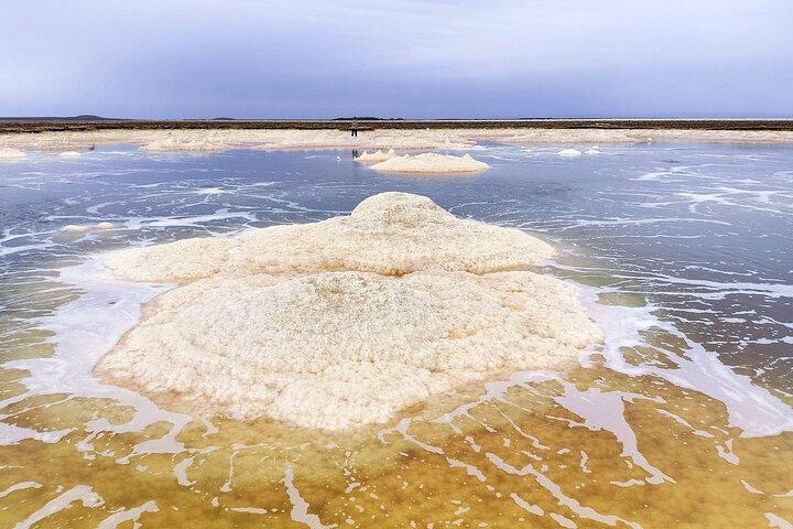 ダナキル島2泊3日の溶岩と温泉ツアー