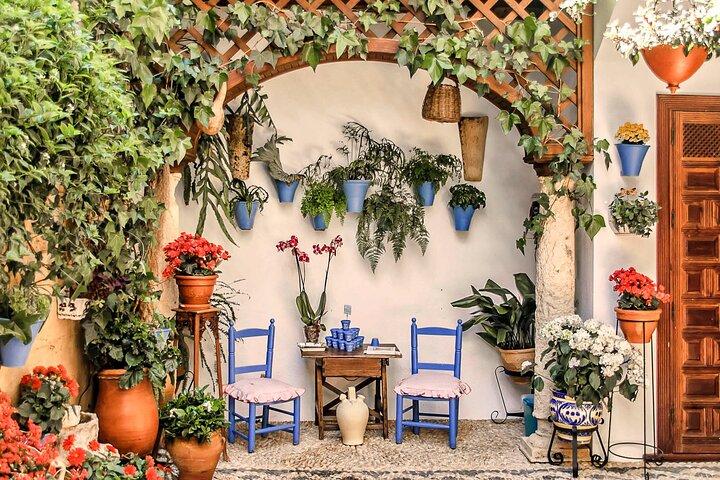 Guided Tour to the Popular Patios of Cordoba