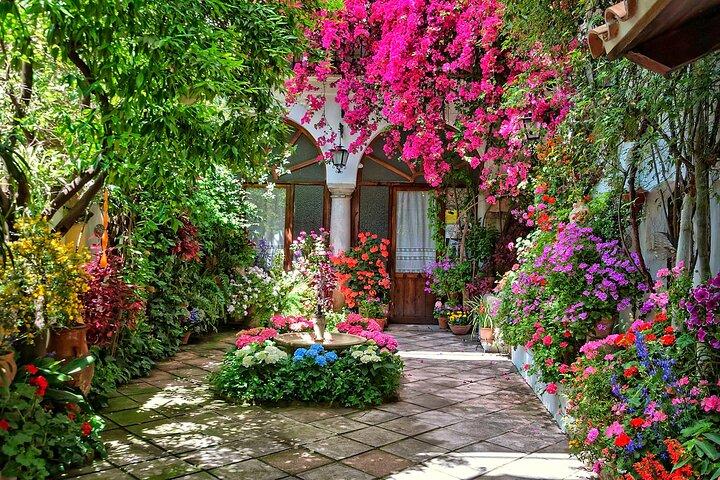 Guided Tour to the Popular Patios of Cordoba