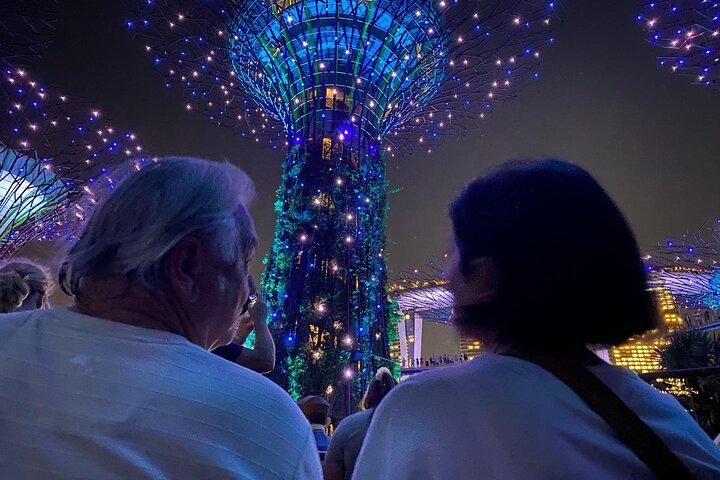 Private City Car Tour Singapore (4 Hours or 8 Hours)