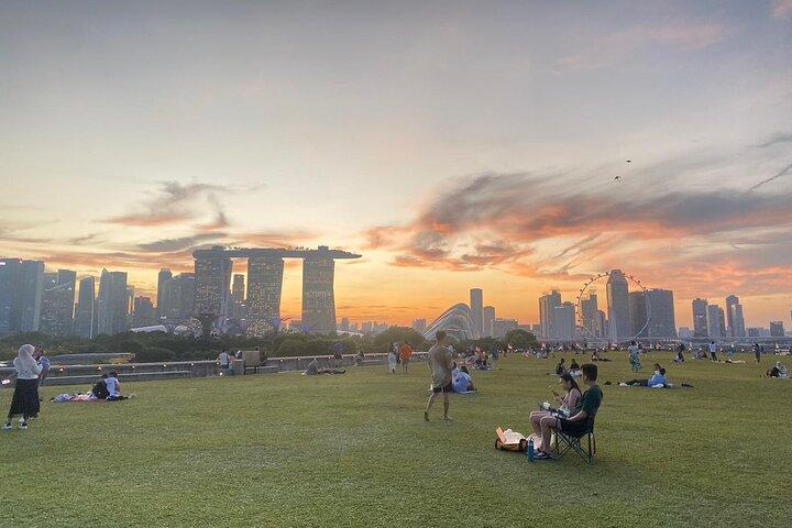 Private City Car Tour Singapore (4 Hours or 8 Hours)