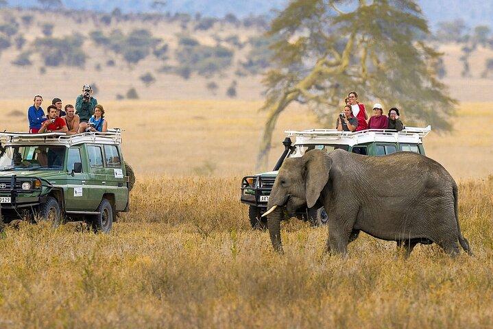 Safari di lusso in lodge nel Parco nazionale di Amboseli, 2 giorni e 1 notte