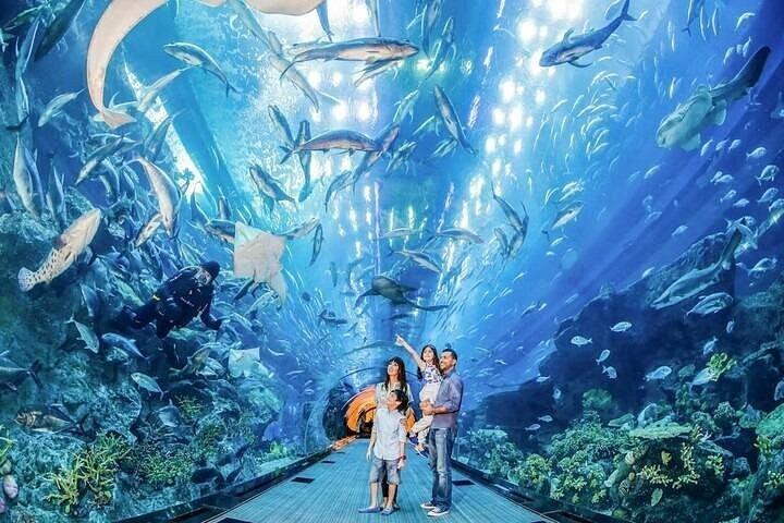 ブルジュ・ハリファ・アット・ザ・トップ ドバイ水族館と水中動物園