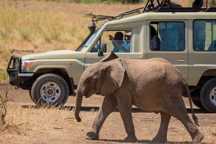 2 Days Sweetwaters Ol Pejeta Conservancy Safari from Nairobi