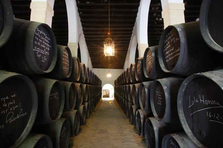 Jerez Winery Tour en wijnproeverij