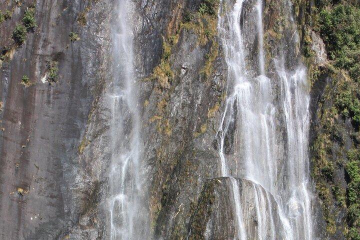 Franz Josef Nature Tour