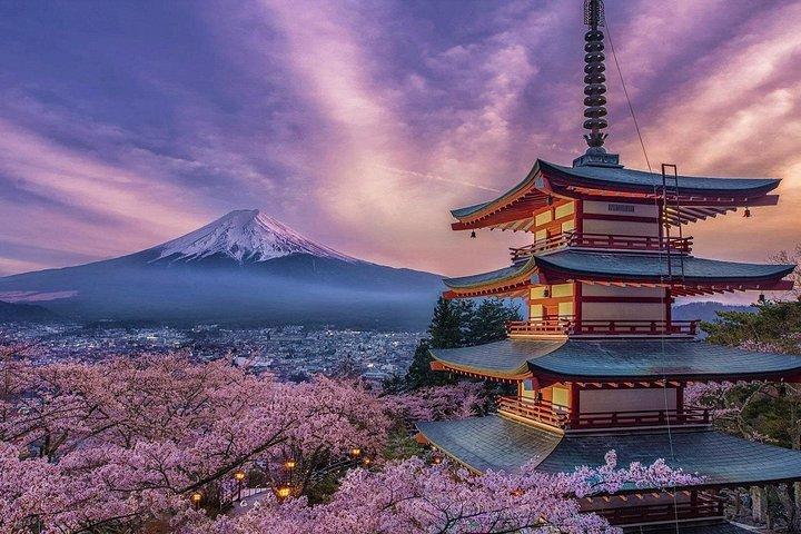 ガイド付き富士山と箱根プライベートツアー