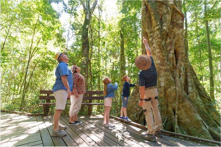 Parque Nacional de Lamington, O'Reilly's & Vineyard Tour