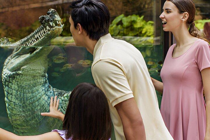 Singapur: entrada a River Wonders