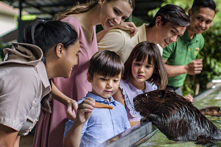 Singapur: entrada a River Wonders