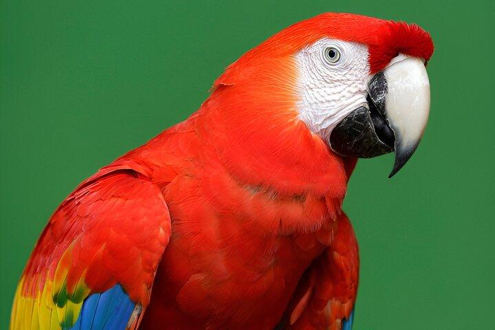 Entrada a Singapore Bird Paradise